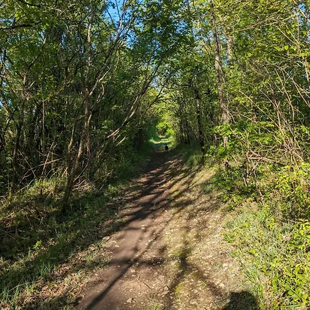 Casa de Férias De Chantemerliere *