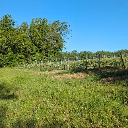 De Chantemerliere * Contre (Charente-Maritime)