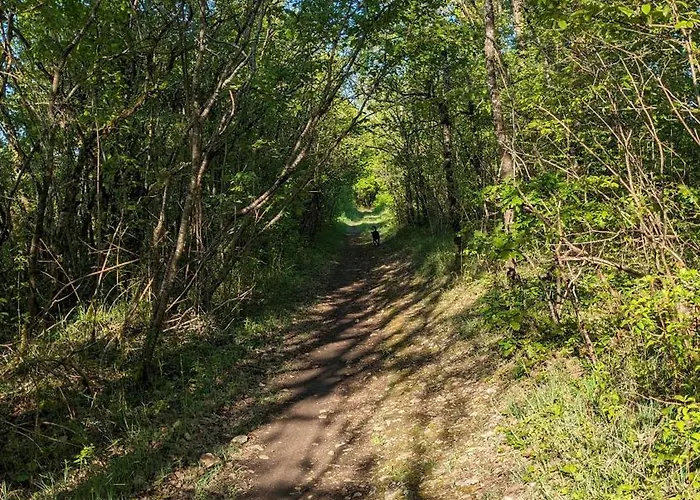 度假居 De Chantemerliere *