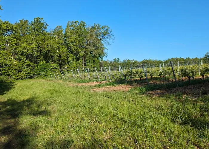 De Chantemerliere * Contre (Charente-Maritime)